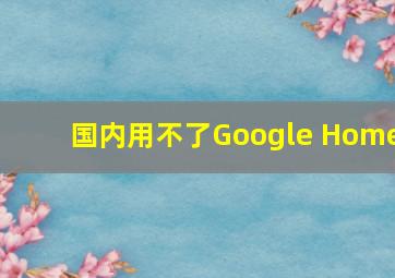 国内用不了Google Home